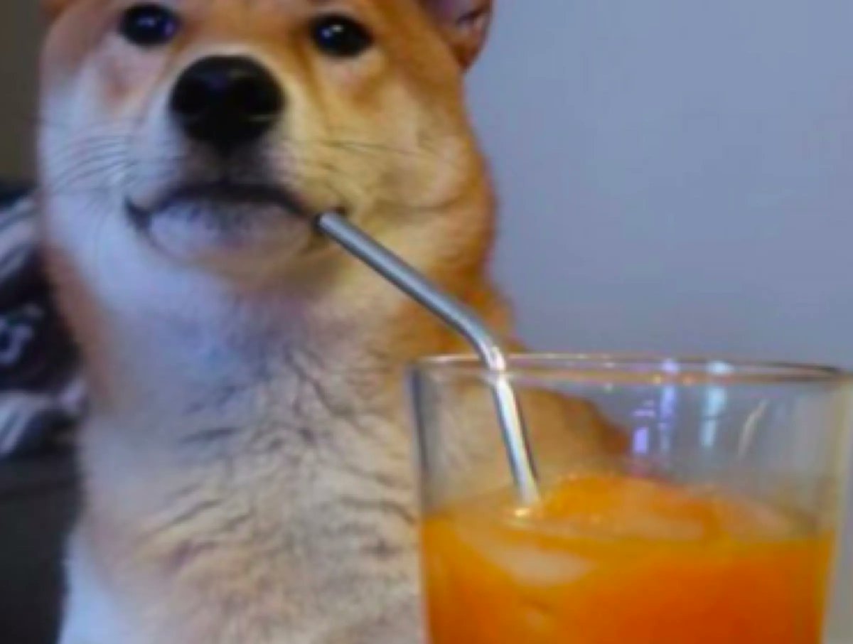 9GAG ❤️ Memeland tweet media