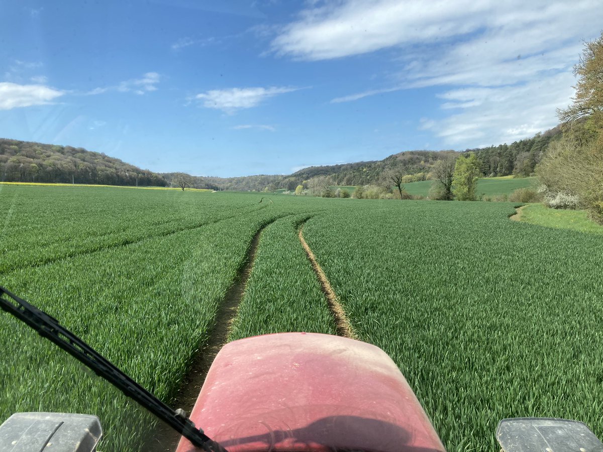 bigard_q's tweet image. Dernier apport N hier sur blé 🌾🌾🌾#Chevignon, #Extase, #Celebrity juste avant la pluie ! La potentiel est là, on va essayer de ne pas le limiter 👍🏻 #Moisson2023
