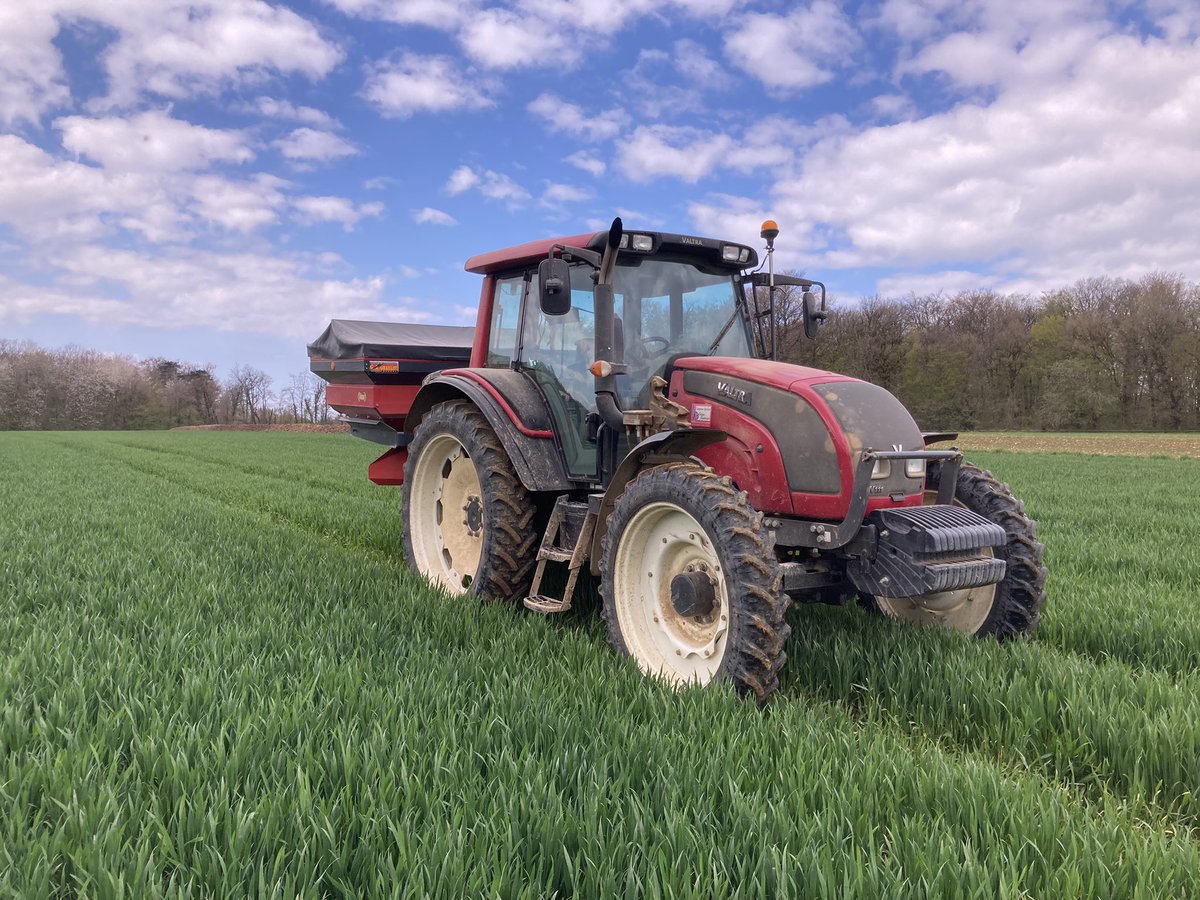 bigard_q's tweet image. Dernier apport N hier sur blé 🌾🌾🌾#Chevignon, #Extase, #Celebrity juste avant la pluie ! La potentiel est là, on va essayer de ne pas le limiter 👍🏻 #Moisson2023