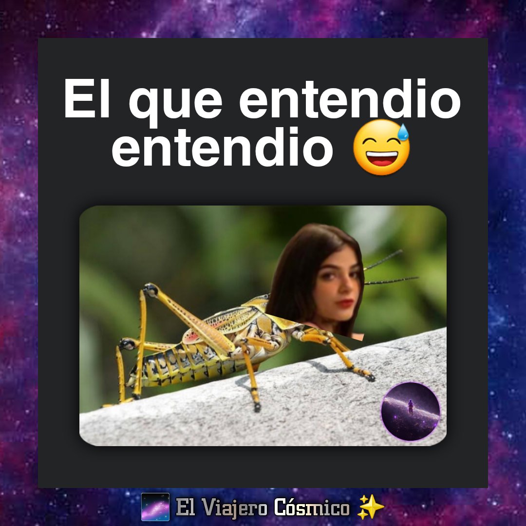 ViajeroCosmic's tweet photo. #karelyruiz https://t.co/Gf9z6dHMS1