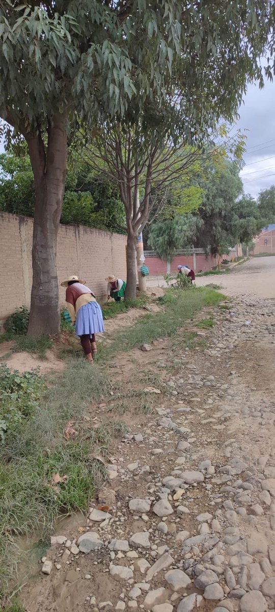 misevi_es's tweet photo. En el día de la 🌎 te contamos que en #Misevi en Bolivia, desde el Centro Sigamos, se fomenta la sensibilización con las familias mediante los trabajos de mantenimiento de las zonas verdes. https://t.co/sJ0hC66P3a