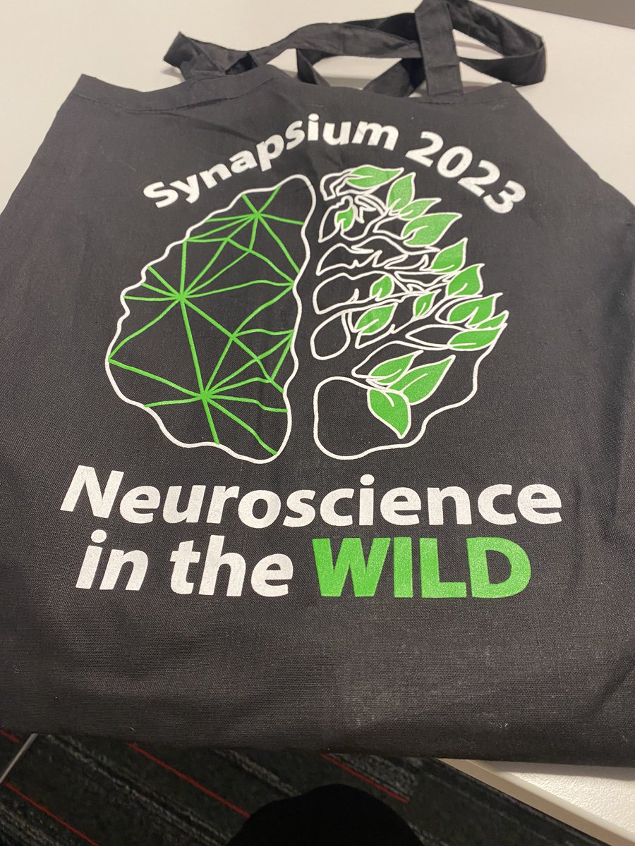 Multimodallang's tweet photo. Perfect symposium run byCogn Neuroscience students @DondersInst including experiments in VR and gesture @Jessica_ChenXY @sevilay_seng 👏👏👏 https://t.co/mvShBcd70h