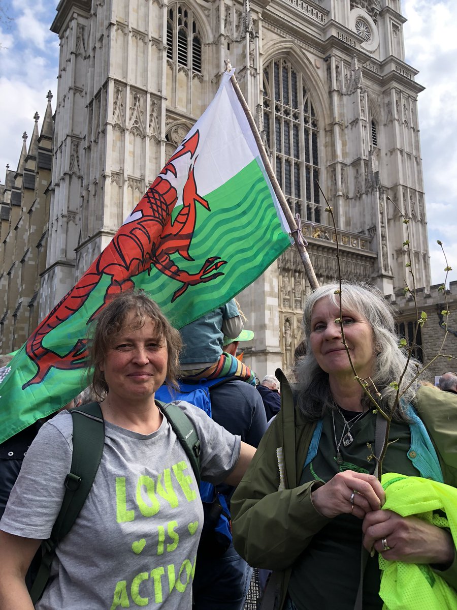 Massive march in London today for Biodiversity as part of the #EarthDay and #TheBigOne. Climate Cymru is here doing our part, calling for a #NaturePositiveWales. Happy and proud - but not surprised - to see a strong Welsh contingent! 💛🏴󠁧󠁢󠁷󠁬󠁳󠁿 /thread