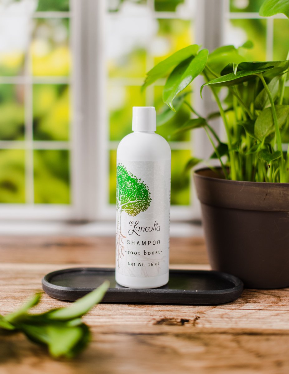 LancoliaLab's tweet photo. ✨ Get $10 OFF Root Boost Shampoo. One of Lancolia Best-Sellers. The shampoo that stimulates the scalp and helps nutrients reach roots more efficiently 🌳 Celebrating 1000 trees planted - Code EARTHDAY-$10OFF-RootBoost
https://t.co/ZRk1udyu0M
#earthday #sale https://t.co/p4o7lfz33k