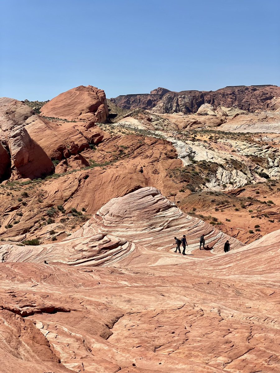yegwidow's tweet photo. Happy Saturday! I’m off to open the perennials house for the season! Wishing you an amazing day 😘❤️
#widowhoodmyway #YEGFA #ValleyofFire #desertinbloom #grief #love https://t.co/HUZGuChjlL