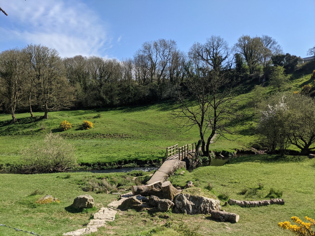 Alice Cousens tweet media