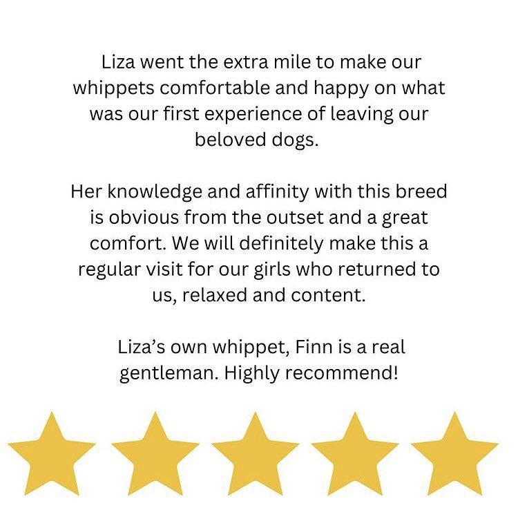 Just For Whippets tweet media