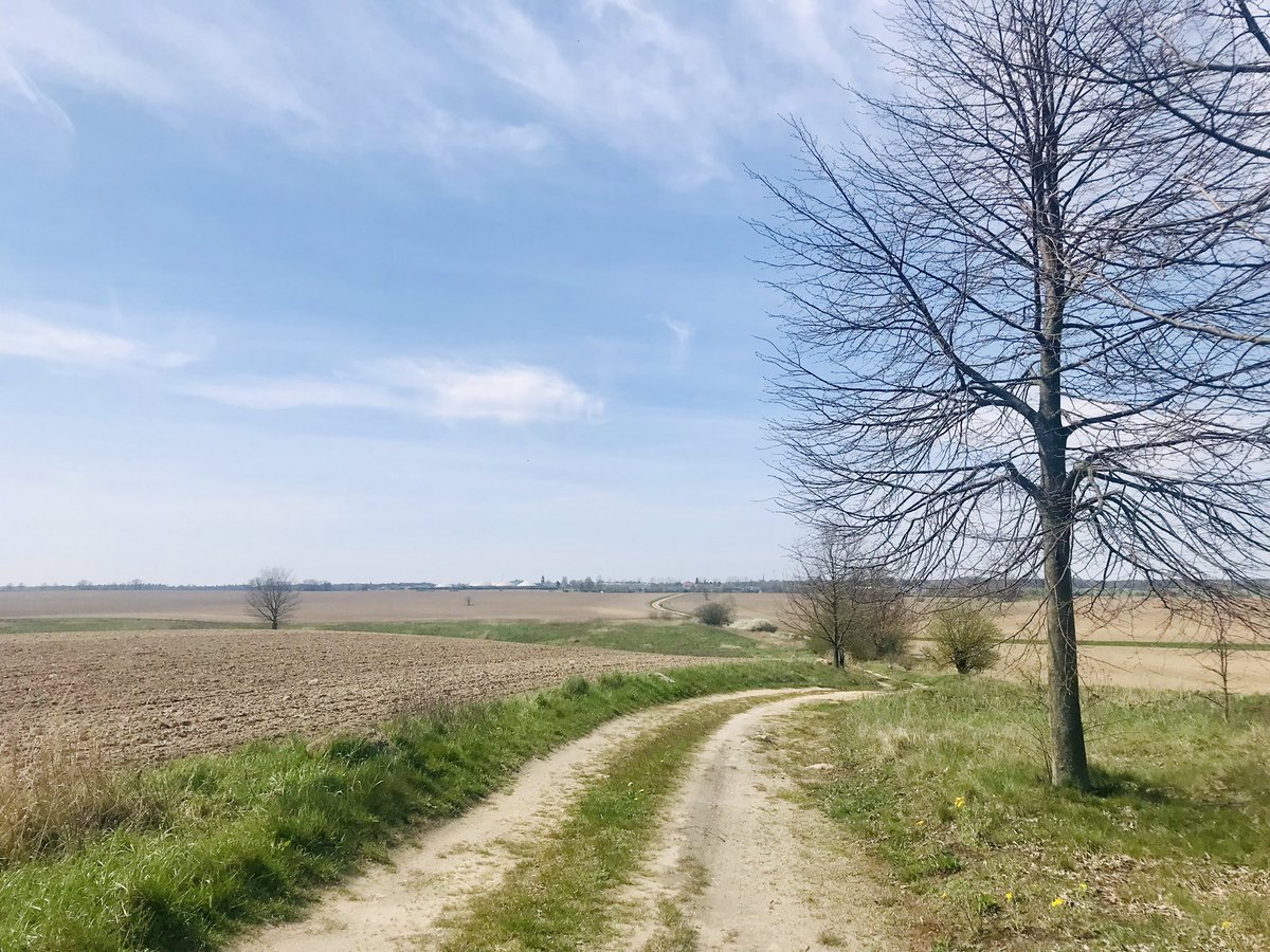 underagreysky's tweet photo. Took the local bus from Wiesenburg and then walked home through the woods and across the fields. Springtime in Fläming.

#adventuresbeyondthefrontdoor #derflaeming https://t.co/RZn4TVwx0j