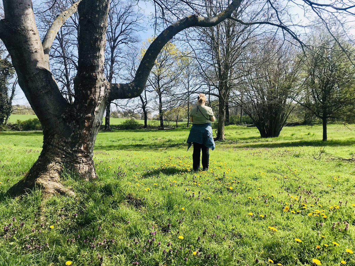 underagreysky's tweet photo. Took the local bus from Wiesenburg and then walked home through the woods and across the fields. Springtime in Fläming.

#adventuresbeyondthefrontdoor #derflaeming https://t.co/RZn4TVwx0j