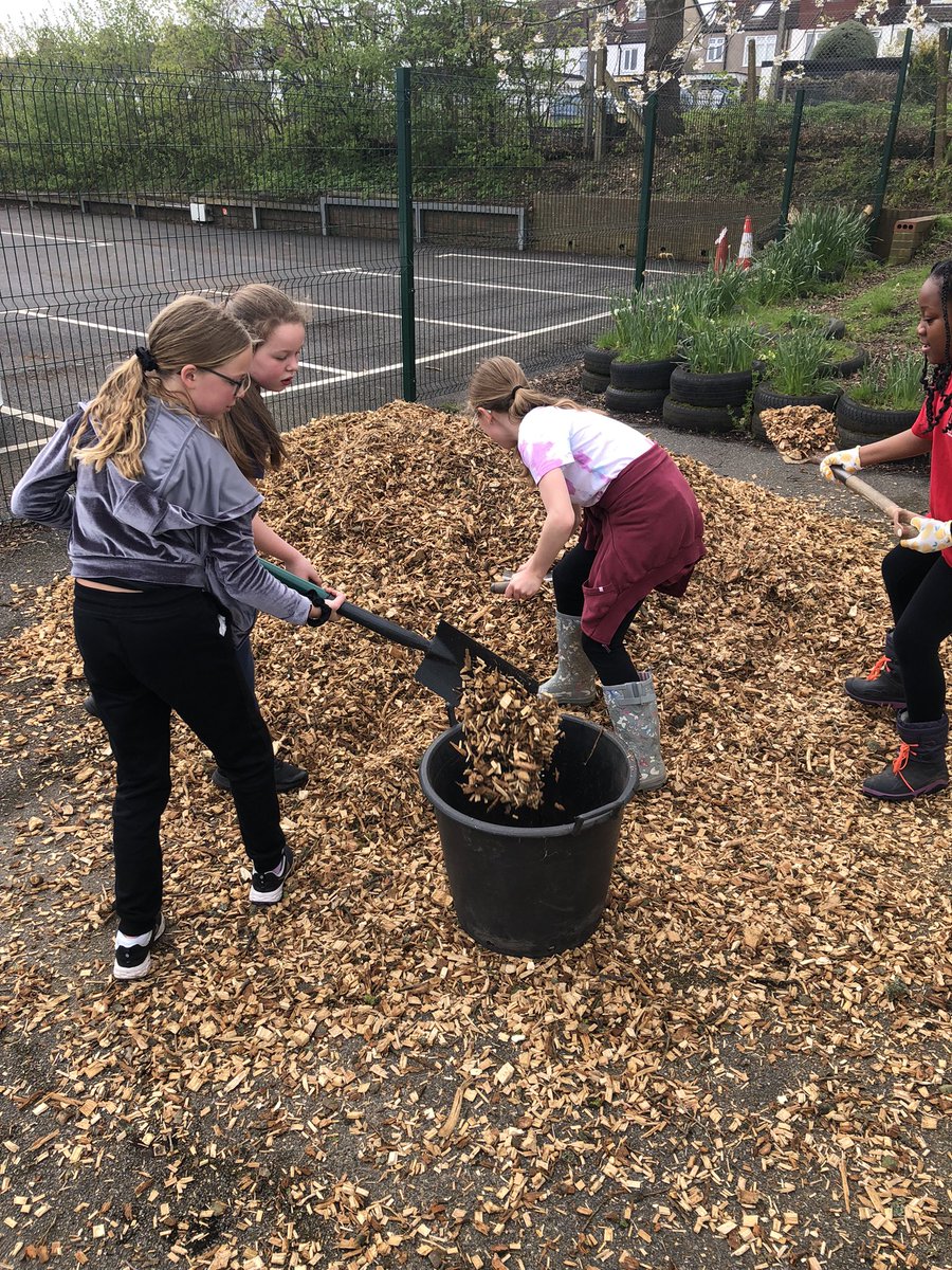 mvprimaryschool's tweet photo. Masses of wood chippings were moved and improved a seating area and created a path in the pond enclosure. #groundsday https://t.co/b2mVy51a4c