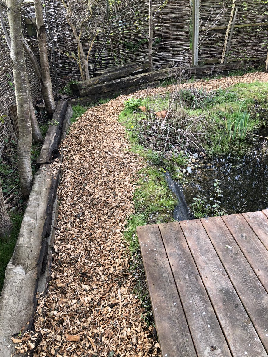 mvprimaryschool's tweet photo. Masses of wood chippings were moved and improved a seating area and created a path in the pond enclosure. #groundsday https://t.co/b2mVy51a4c