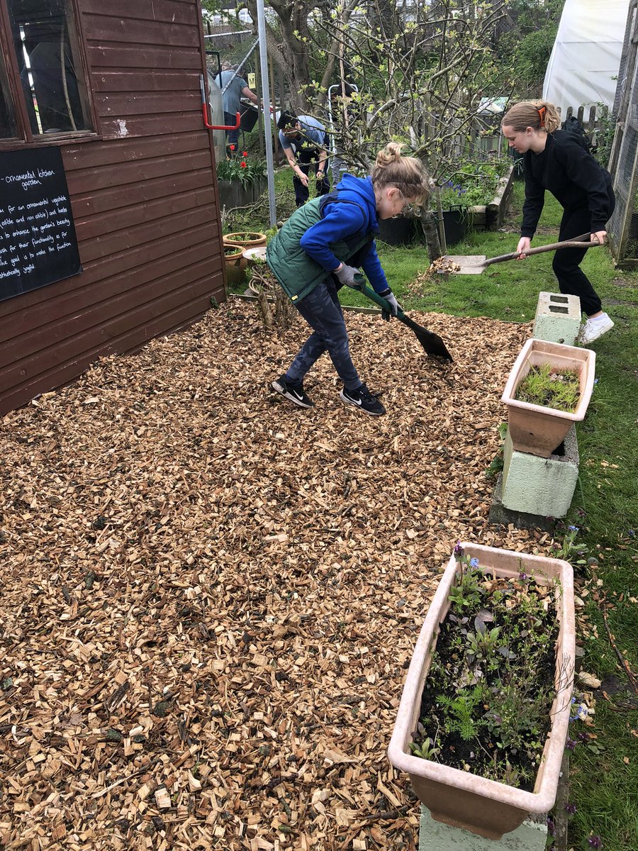 mvprimaryschool's tweet photo. Masses of wood chippings were moved and improved a seating area and created a path in the pond enclosure. #groundsday https://t.co/b2mVy51a4c