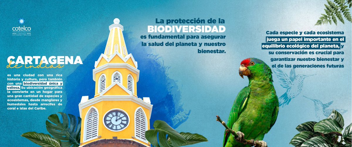 Cotelco Cartagena y Bolívar tweet media