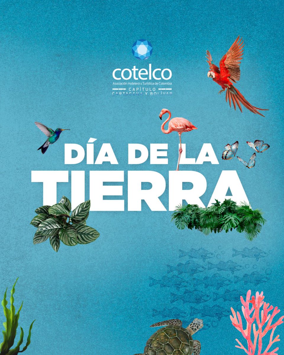 Cotelco Cartagena y Bolívar tweet media