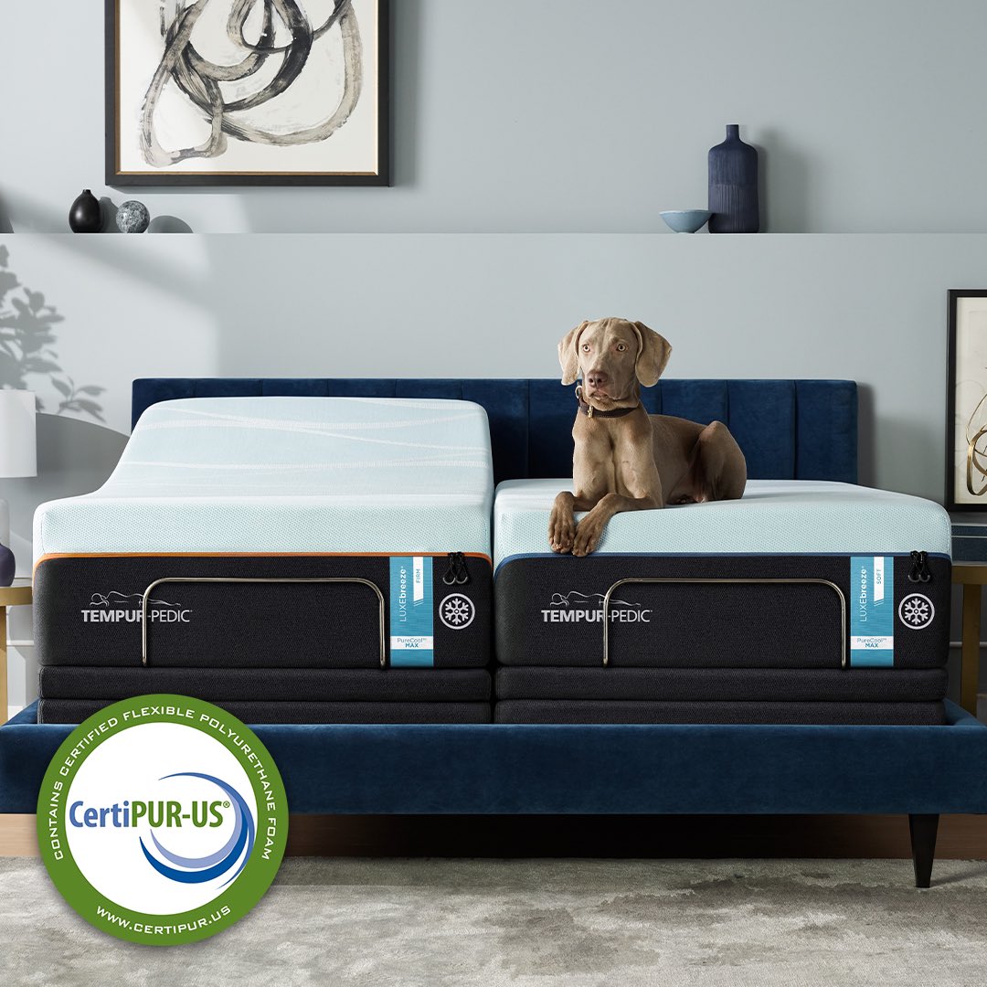 Tempur-Pedic Canada tweet media
