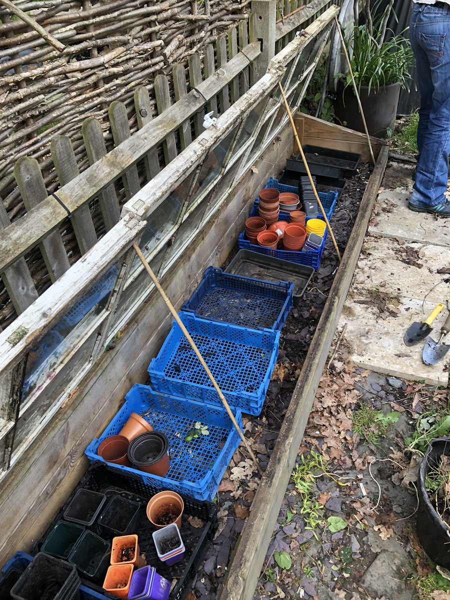 mvprimaryschool's tweet photo. The cold frames were cleaned out and the pizza oven had a fresh lick of paint. #groundsday https://t.co/L4IPTNiplK