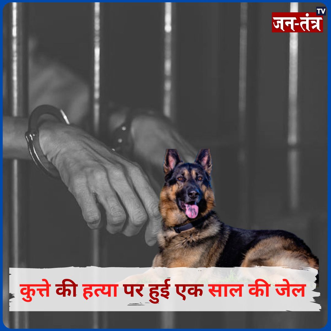 JantantraTv's tweet photo. ➡️भिंड जिले में चार साल पहले एक युवक ने कुत्ते की मारकर
हत्य कर दी थी,
➡️जिला कोर्ट ने आज आरोपी को सश्रम एक साल की कारावास
की सजा सुनाई है,
@CMMadhyaPradesh
#murderdog #dogmurder #mpgovernment #governmentofmp #mppolice #mpnews #savedogs #hindinews #Jtv https://t.co/JjE03Ewlaa
