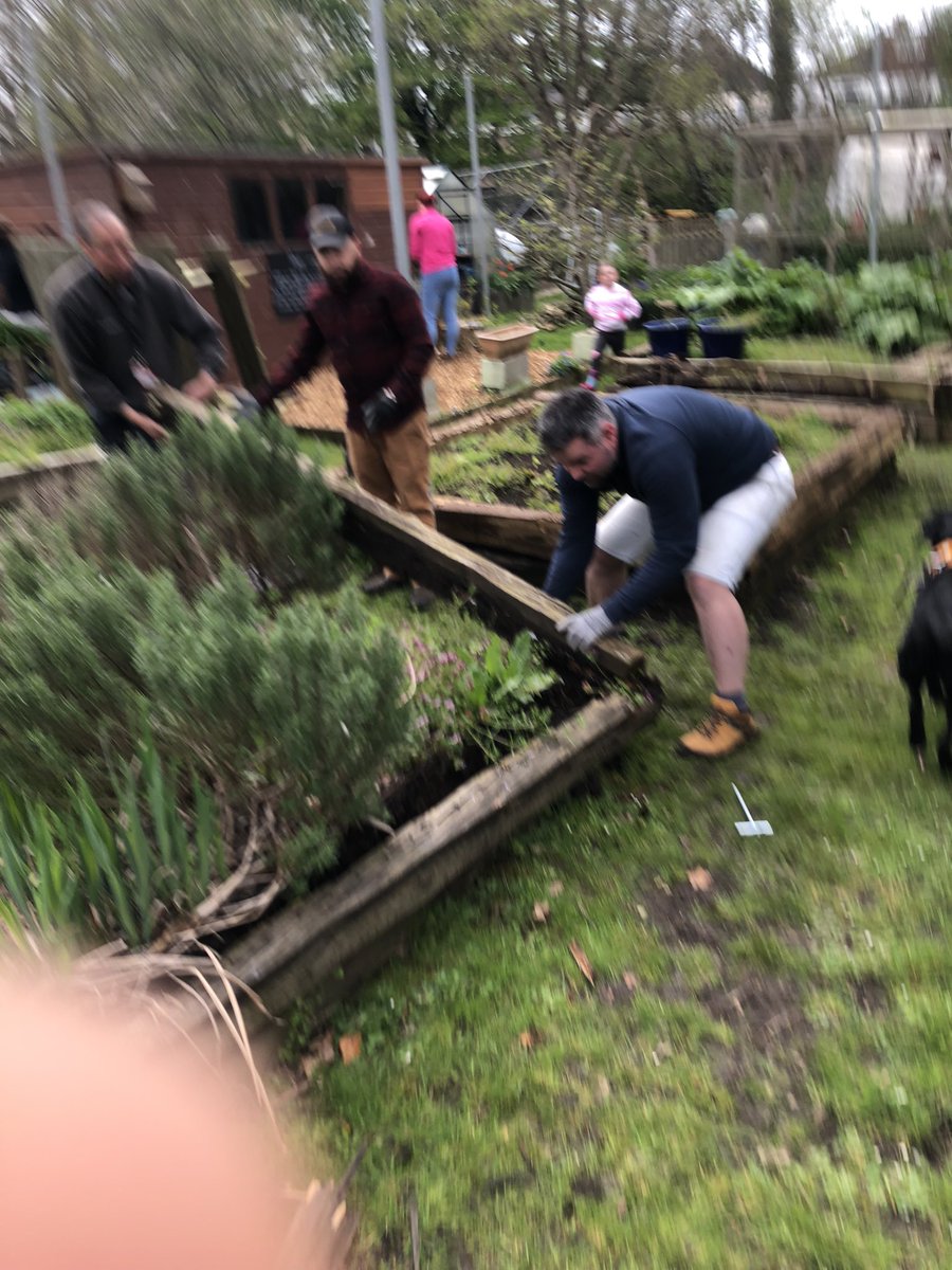 mvprimaryschool's tweet photo. Lots of the old rotting raised beds sleepers were replaced. #groundsday https://t.co/Ei67F9TKyq