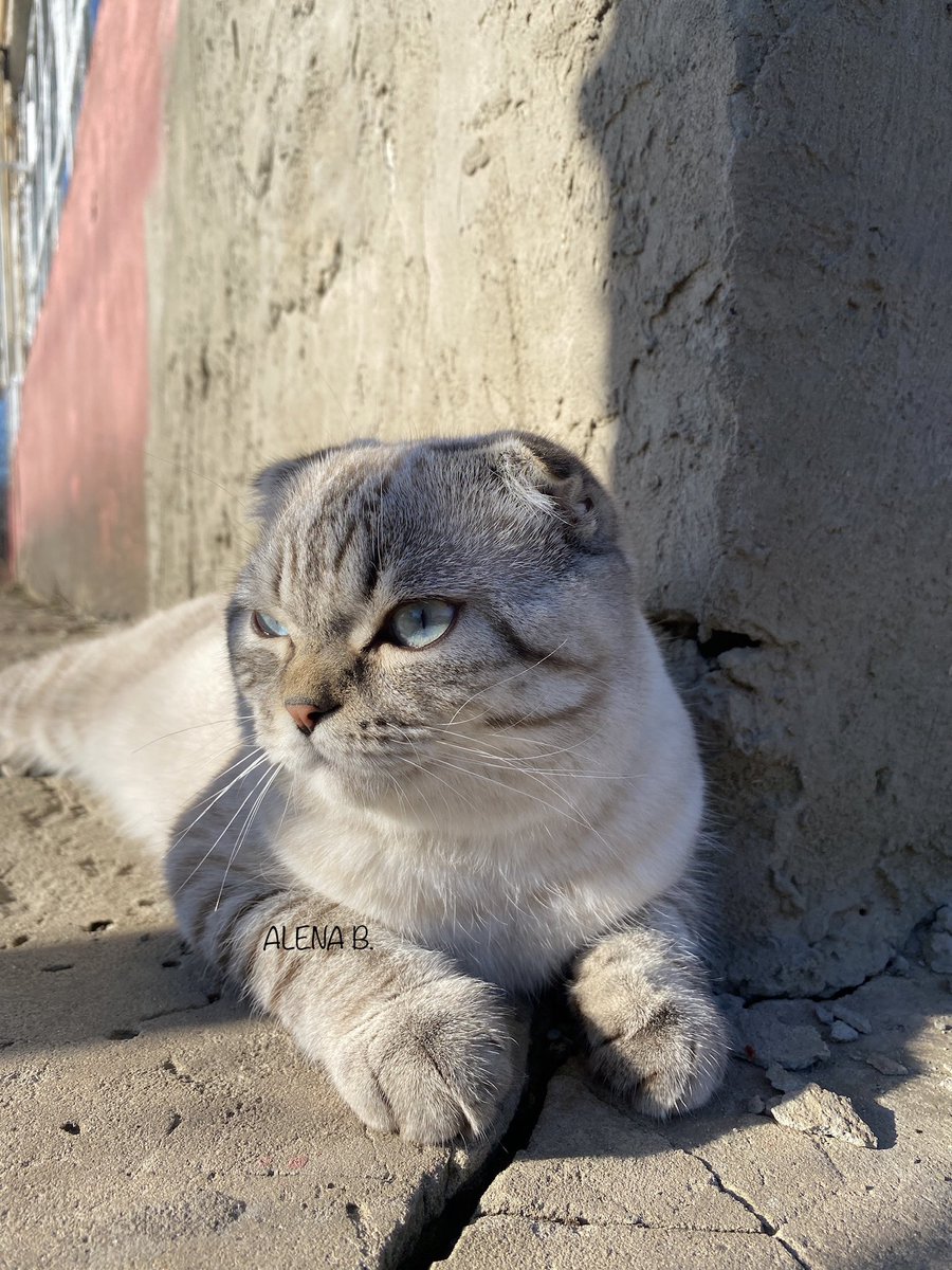 Гроза🌩️

Если вы видите этот твит, процитируйте его с фотографией вашего питомца.