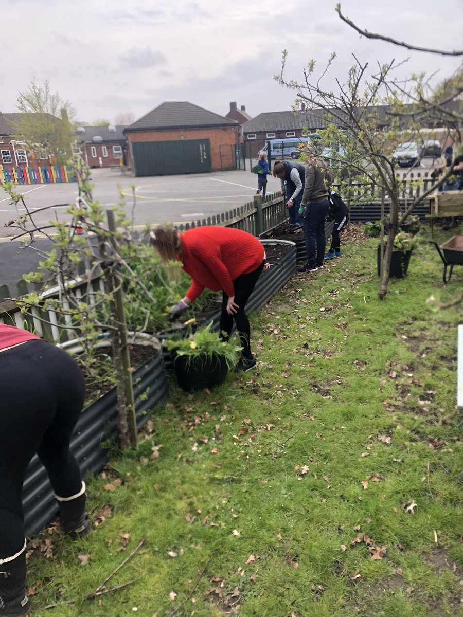 mvprimaryschool's tweet photo. Over hanging branches cut back and raised beds cleared ready for planting. #groundsday https://t.co/wYawt1PrcI