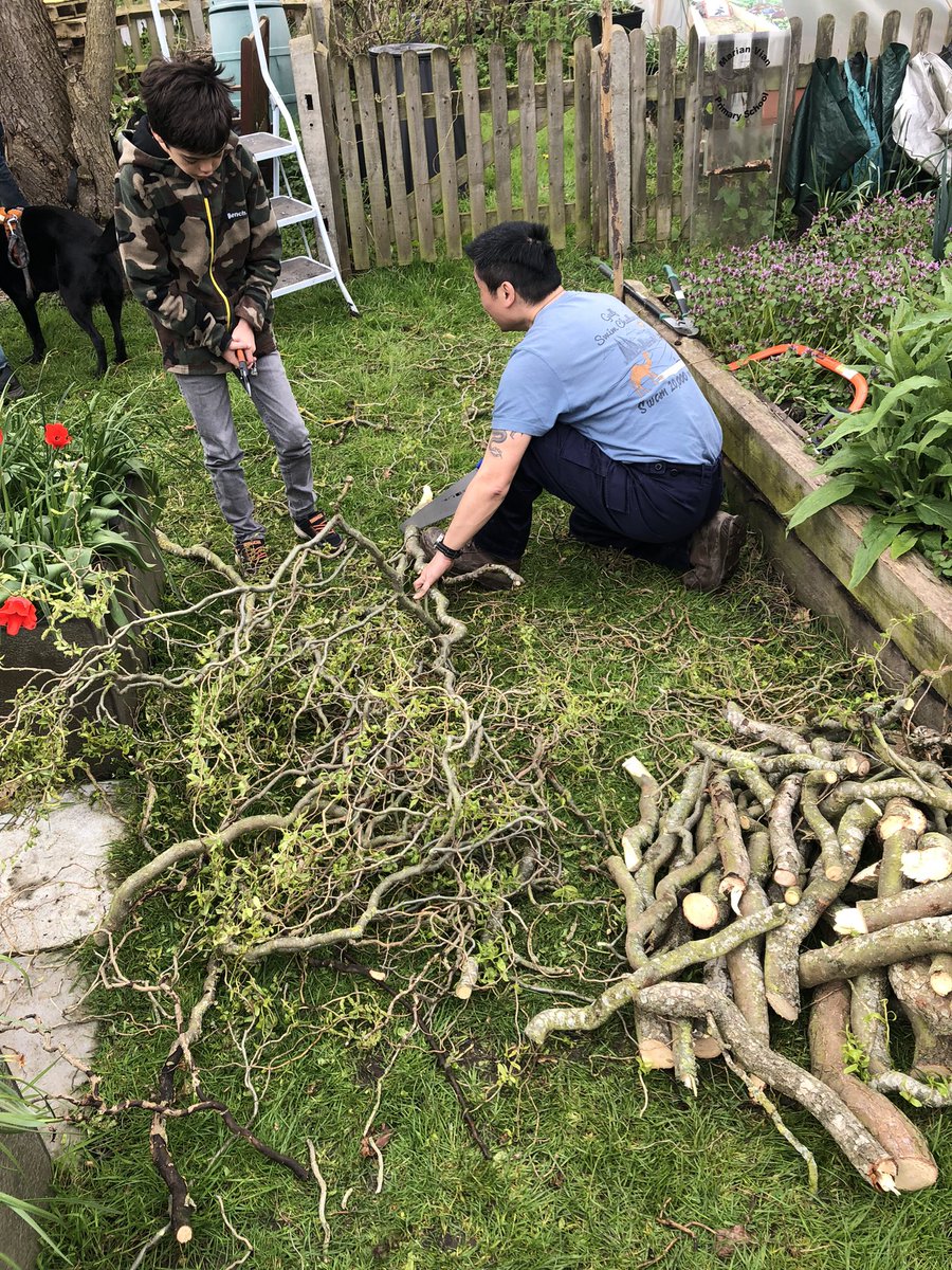 mvprimaryschool's tweet photo. Over hanging branches cut back and raised beds cleared ready for planting. #groundsday https://t.co/wYawt1PrcI