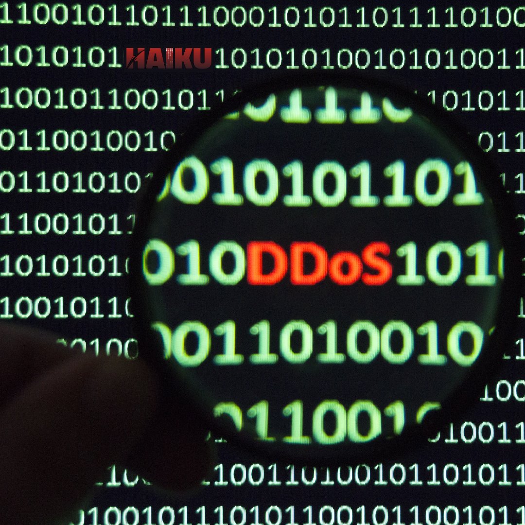 HaikuInc_'s tweet photo. Can you prevent a DDoS attack? With Haiku Pro, you will learn the critical skills needed to not only protect yourself and your business but build toward a rewarding career in Cybersecurity. 🛡

LEARN MORE at https://t.co/yTDcFSycYK

#ddos #cyberattack #cybersecurity #randomware https://t.co/bLrOVNBDkq