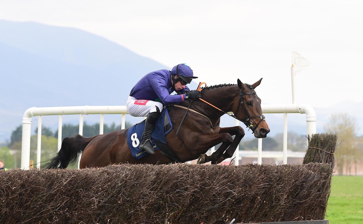 QrIrish's tweet photo. One For Daisy @DerekOConnor82 won the 5yo mares maiden in Tralee for @SamCurling1 📸 https://t.co/8Dv1awdGxy https://t.co/LIdws5PBXN