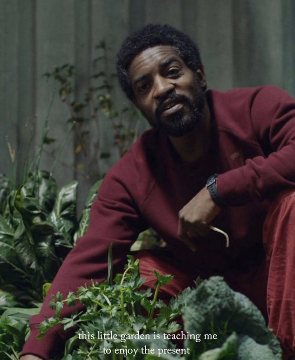 PigsAndPlans's tweet image. Happy Earth Day🌎