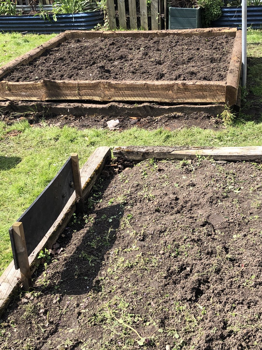 mvprimaryschool's tweet photo. Raised beds weeded and dug over both outside and in the poly tunnel. #groundsday https://t.co/TgGJOwEDIG