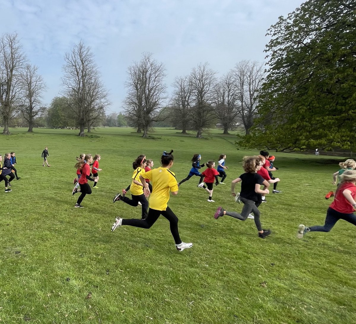 avpsaa's tweet photo. Great turnout for the Aylesbury Vale primary schools cross country event ⁦@AscottEstate⁩ today- congratulations to the overall winners ⁦@StMSchStewkley⁩ ⁦@TurnfurlongJSch⁩ https://t.co/A19IKItU5L