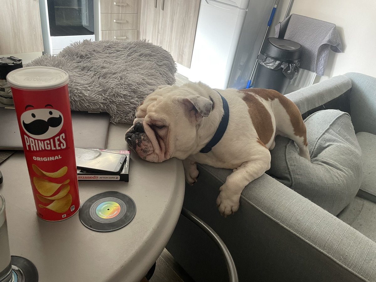 Gemsta's tweet photo. When he wants the @Pringles but knows he’s not allowed them… https://t.co/PnsDeQYrs1