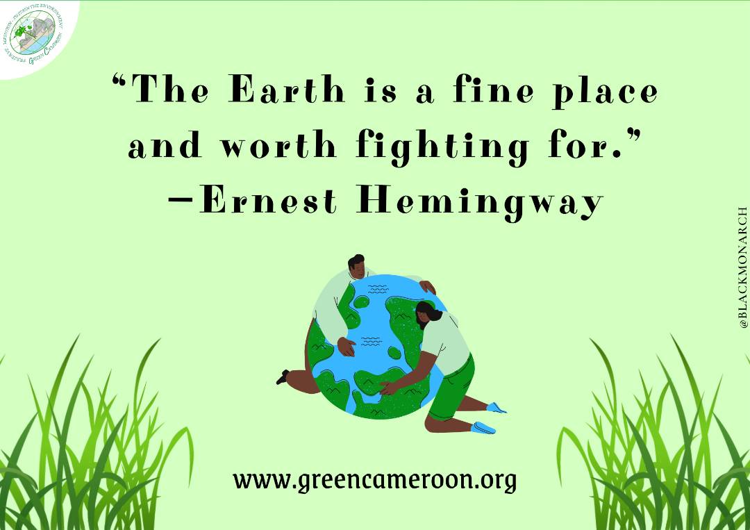 Green Cameroon tweet media