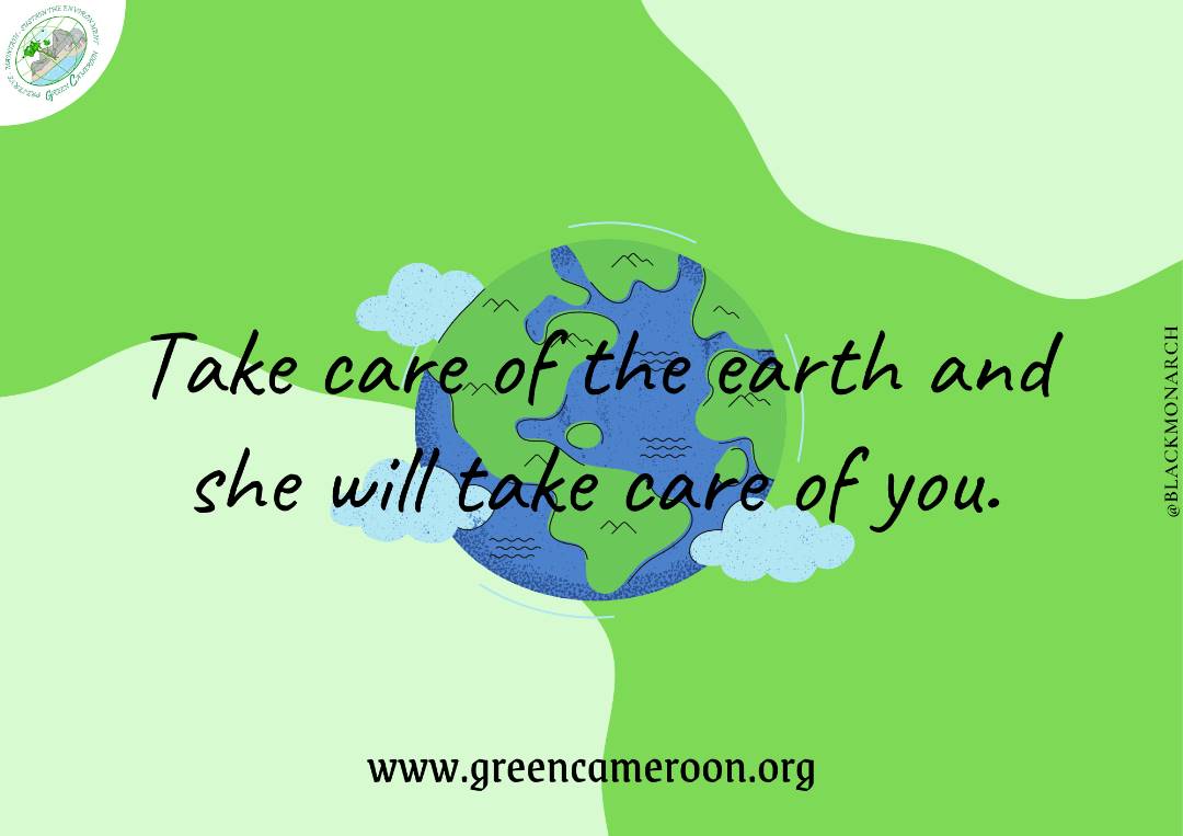 Green Cameroon tweet media