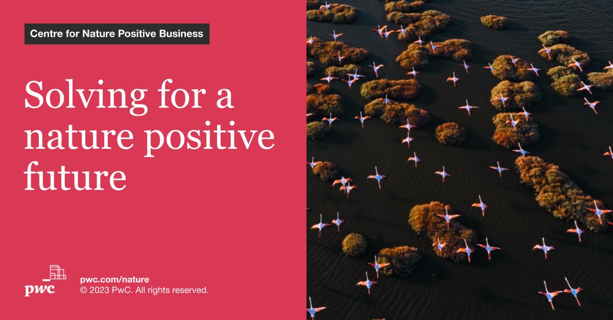 As we mark #EarthDay2023, I'm proud to share that <a href="/PwC/">PwC</a> has launched a new global Centre for Nature Positive Business.

Learn how this will help clients and the ecosystem accelerate the transition to a nature positive and #netzero future.

pwc.to/nature

#TheNewEquation