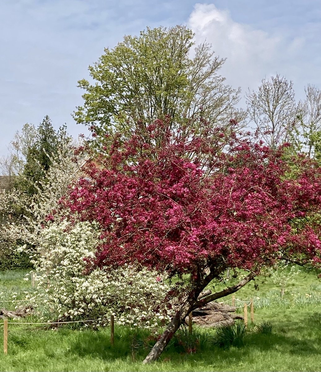 HilaryBurrage's tweet photo. Earth Day https://t.co/F93dhfPo3d