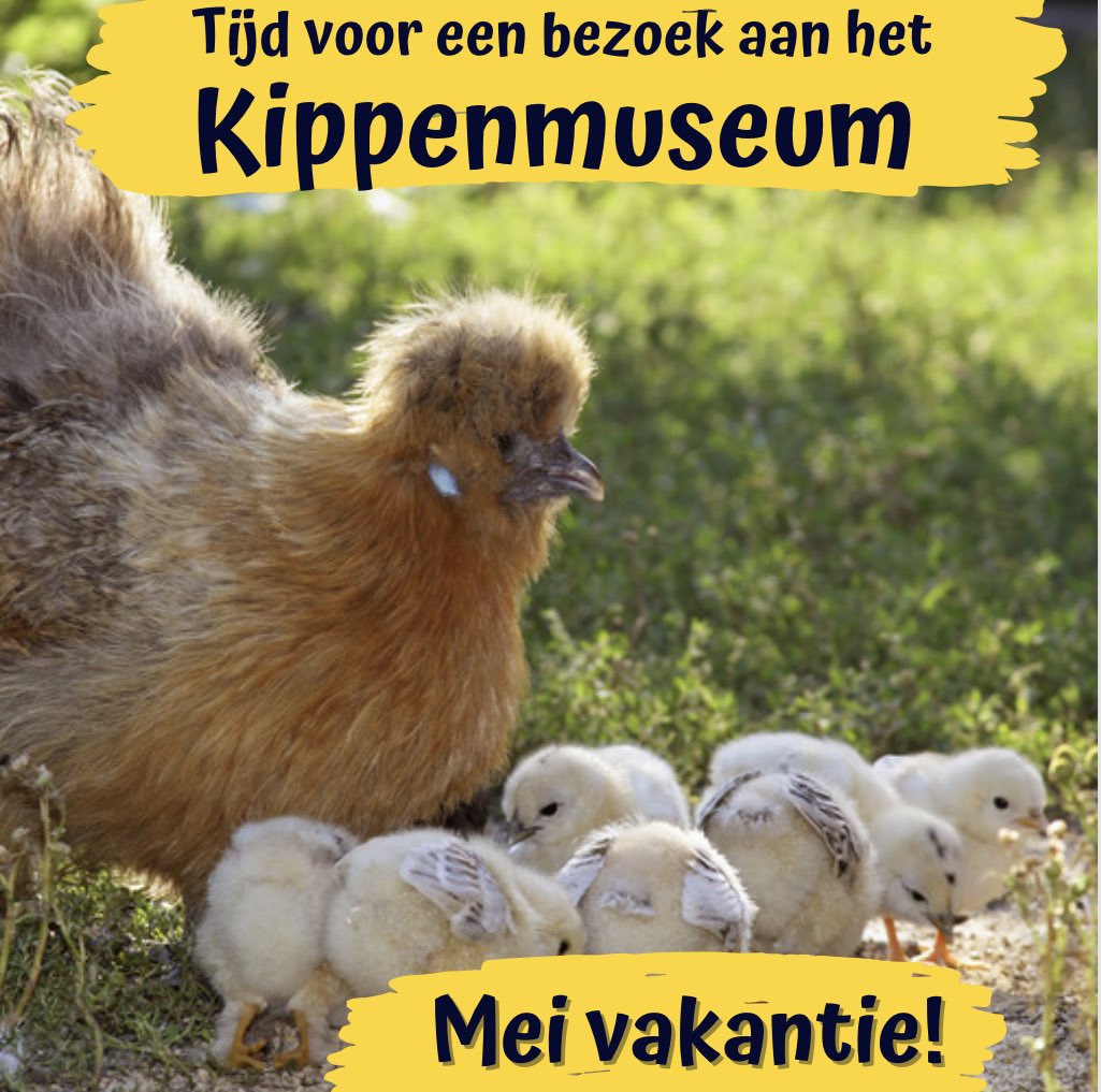 pluimveemuseum's tweet photo. Een bezoek aan het #kippen #museum is echt de moeite waard! Velen gingen u voor en waren #verbaast en #verrast over de #omvang en #inhoud
#vakantie #meivakantie #eierveiling #visitbarneveld #kidsproof #gokids #educatiefdagjemetdekids #kuikentjesknuffelen https://t.co/ZDbQ0jsWxN