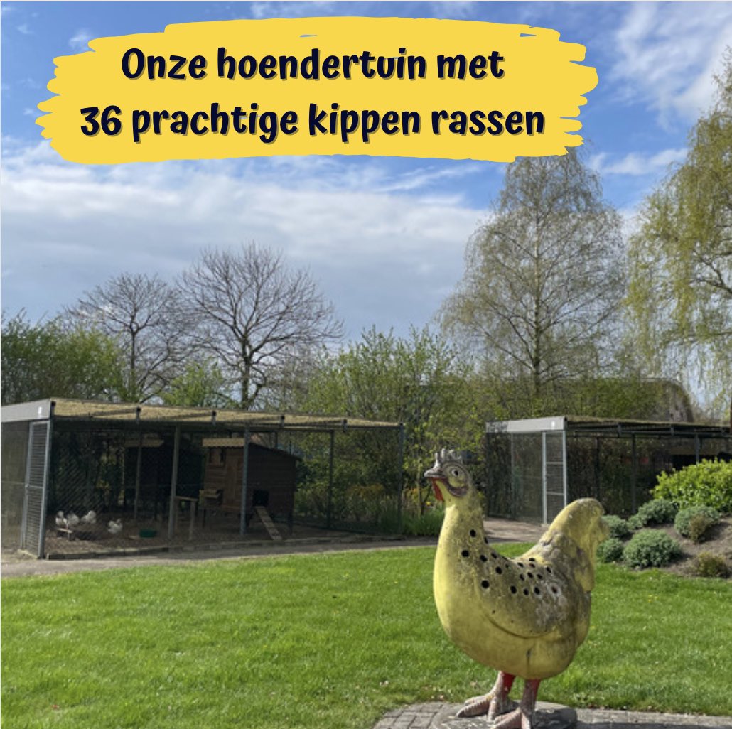 pluimveemuseum's tweet photo. Een bezoek aan het #kippen #museum is echt de moeite waard! Velen gingen u voor en waren #verbaast en #verrast over de #omvang en #inhoud
#vakantie #meivakantie #eierveiling #visitbarneveld #kidsproof #gokids #educatiefdagjemetdekids #kuikentjesknuffelen https://t.co/ZDbQ0jsWxN