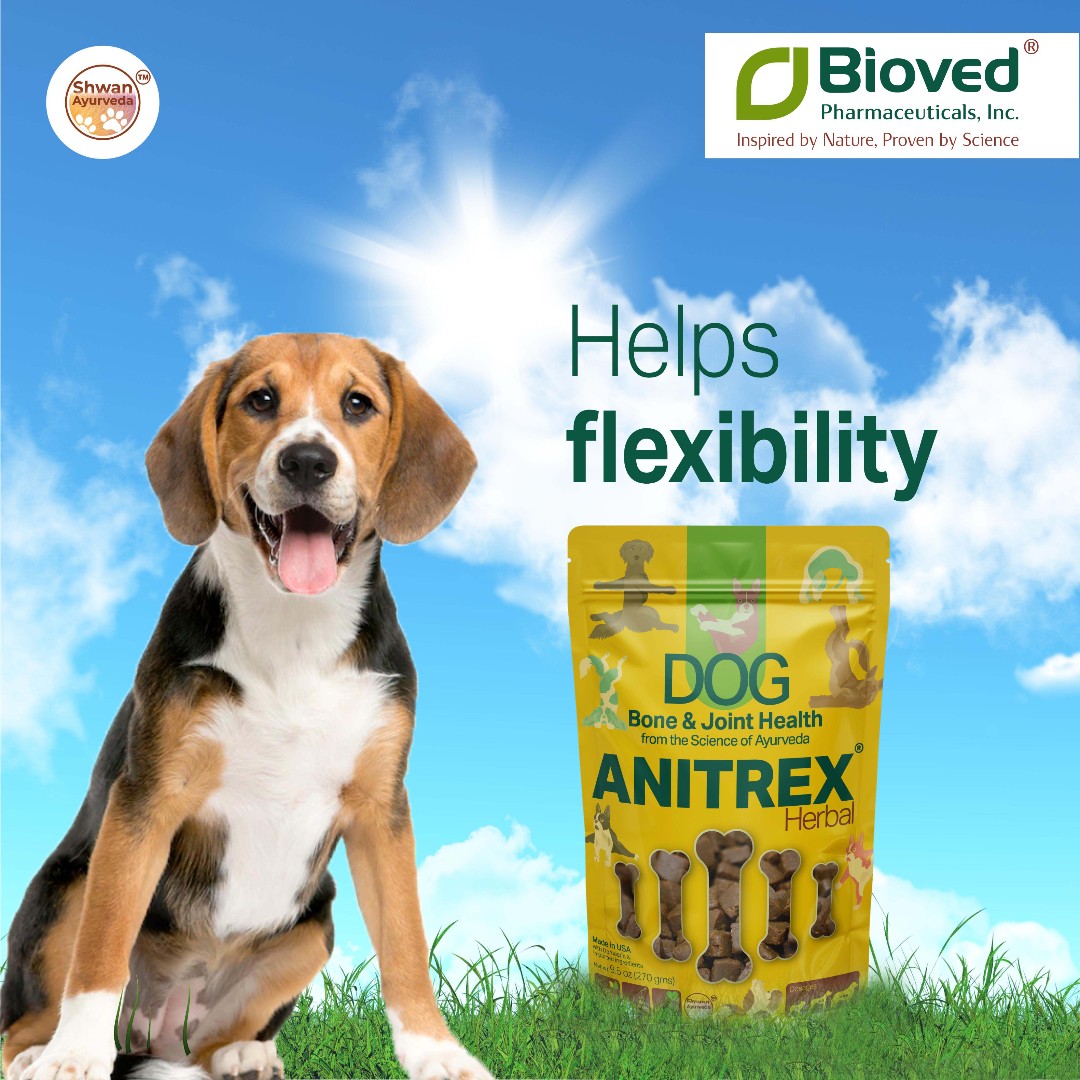 Anitrex- for dog bone and joint health.

#bioved #biovedpharma #healthybones #healthyjoints #healthy #bonesandjoints #anitrex #dog #doghealth #healthydog #herbal #natural #activelife #flexibility