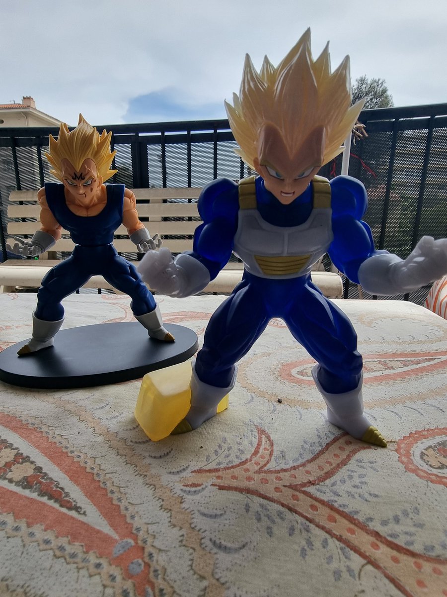 je ne suis plus tout à fait le même depuis mon super entraînement tu ne trouves pas 
A dire vrai ces super vegeta qui faudrait m'appeler maintenant 🔥