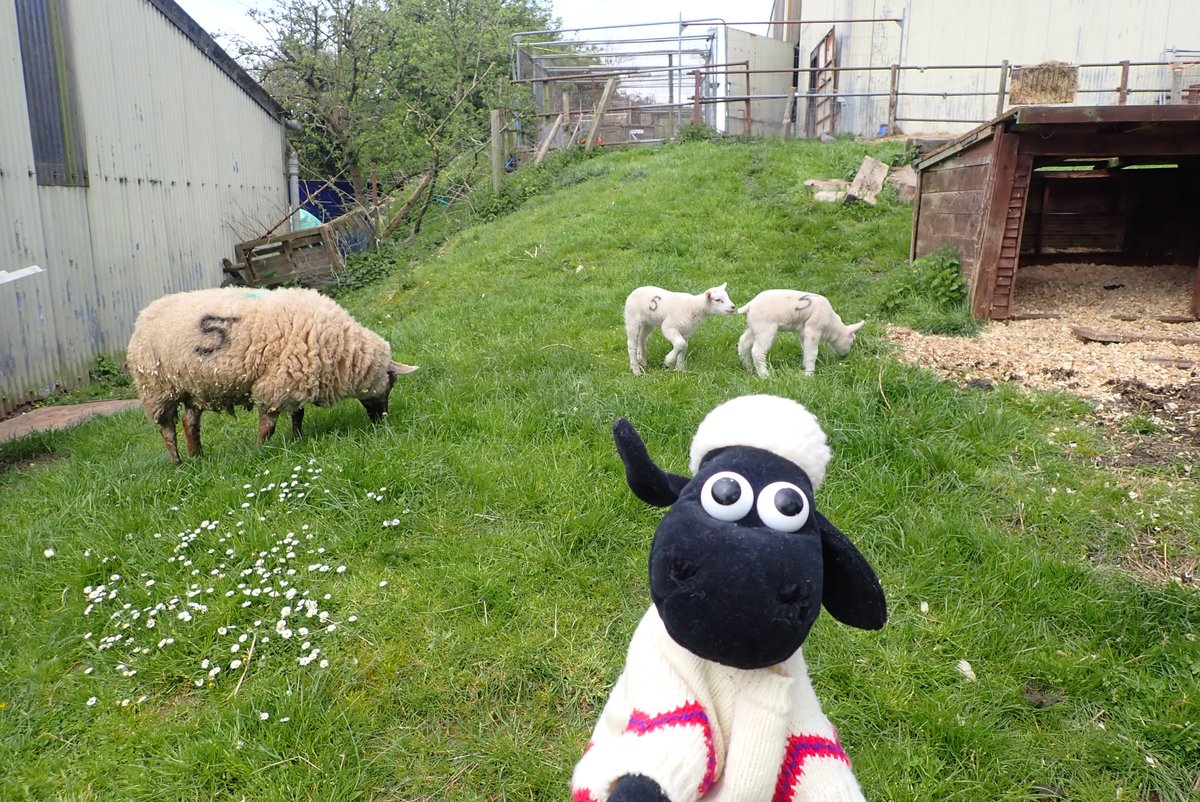 TracyVise's tweet photo. Herons Dale Primary smashing 8 miles off road sponsored walk - 3 hours 20 (not including stops) 24 people.  

An amazing £720.00 has been raised smashing our £600 target as part of the Shaun by the Sea community project for The Martletts .   Herons
@shaunbythesea https://t.co/a8ZhEwrgnw