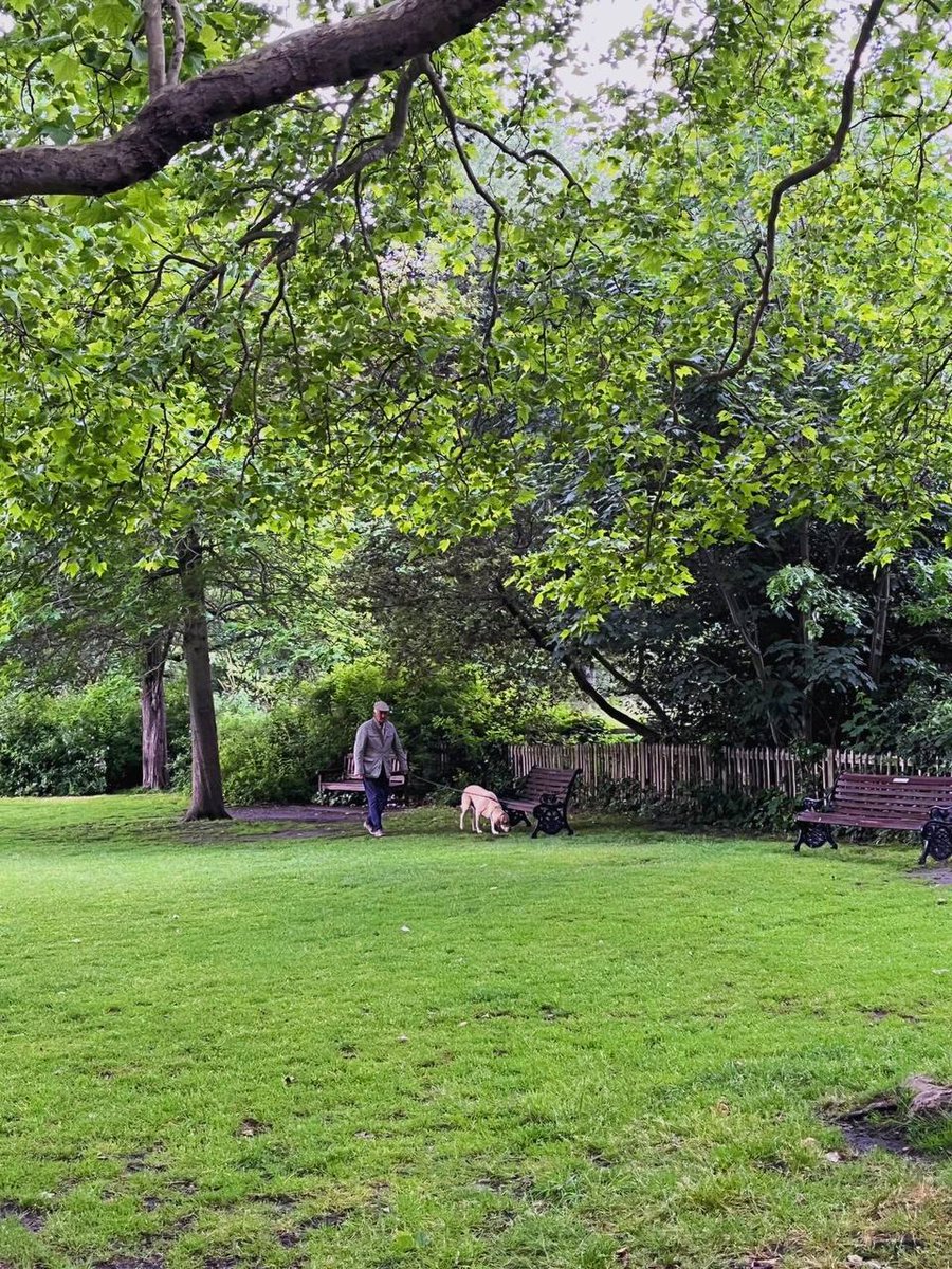 Valencia_ruka's tweet photo. Every park in London has its own unique beauty😈😈 https://t.co/vI2BGK1WWP