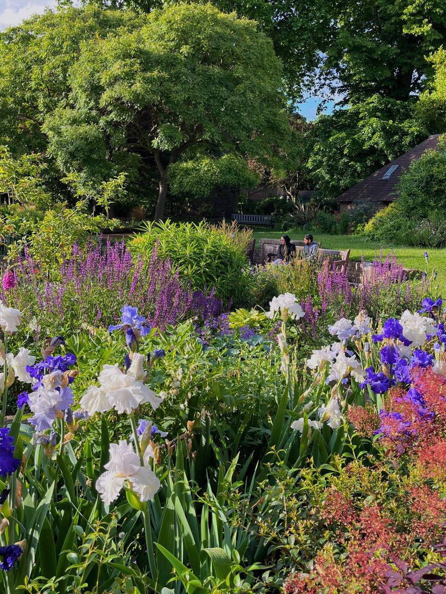 Valencia_ruka's tweet photo. Every park in London has its own unique beauty😈😈 https://t.co/vI2BGK1WWP