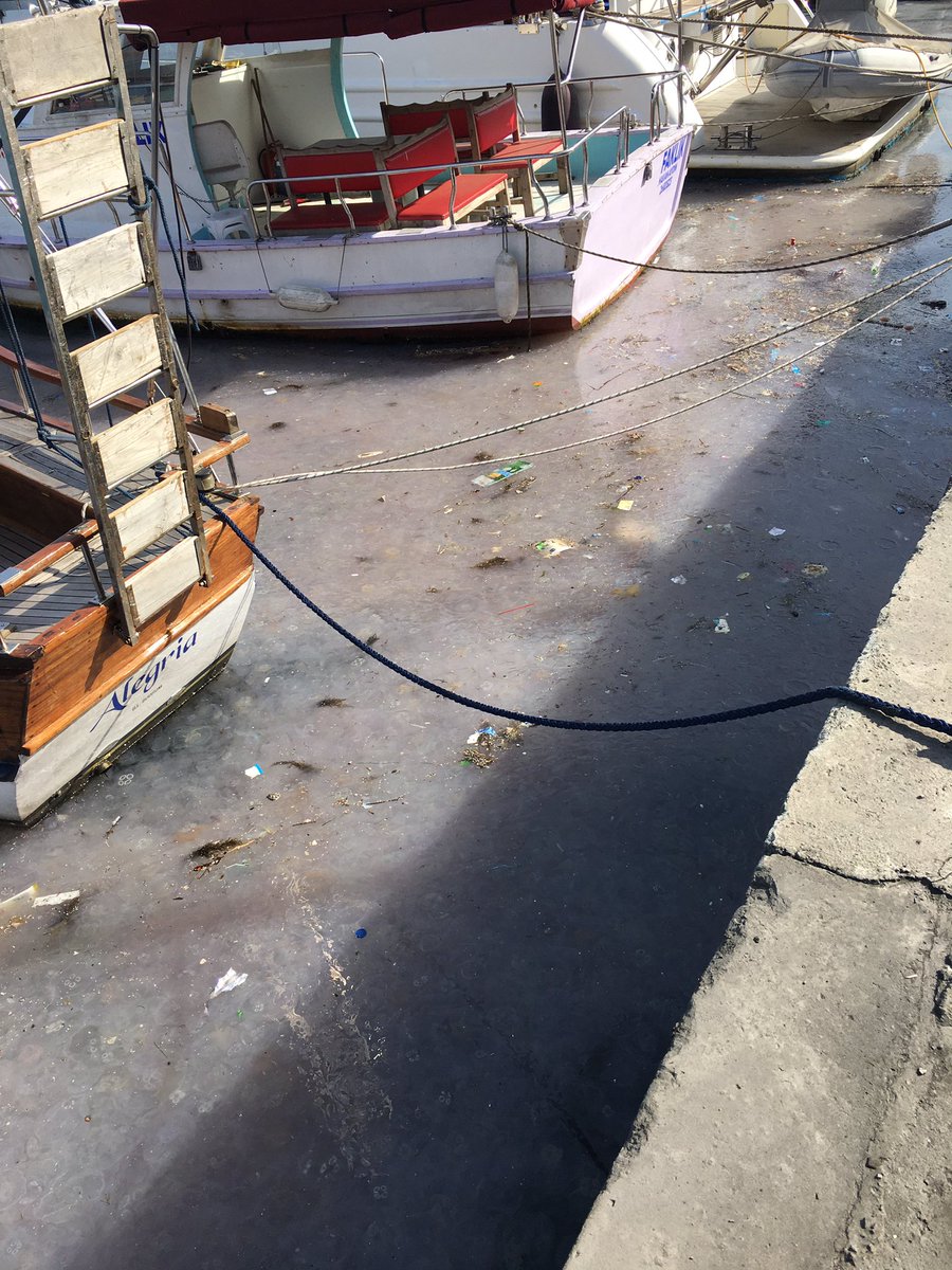 Arnavutköy sahili berbat durumda. (22 Nisan 2023). Yetki alanınızda değilse bile yetkili kişilere iletip, hiç değilse yüzeysel temizliğinin yaptırılmasını sağlayabilirseniz güzel olur.
<a href="/turmepa_dernegi/">DenizTemiz Derneği/ TURMEPA</a> <a href="/IBBcozummerkezi/">İBB Çözüm Merkezi</a> <a href="/istanbulbld/">İstanbul Büyükşehir Belediyesi</a> <a href="/ekrem_imamoglu/">Ekrem İmamoğlu</a>