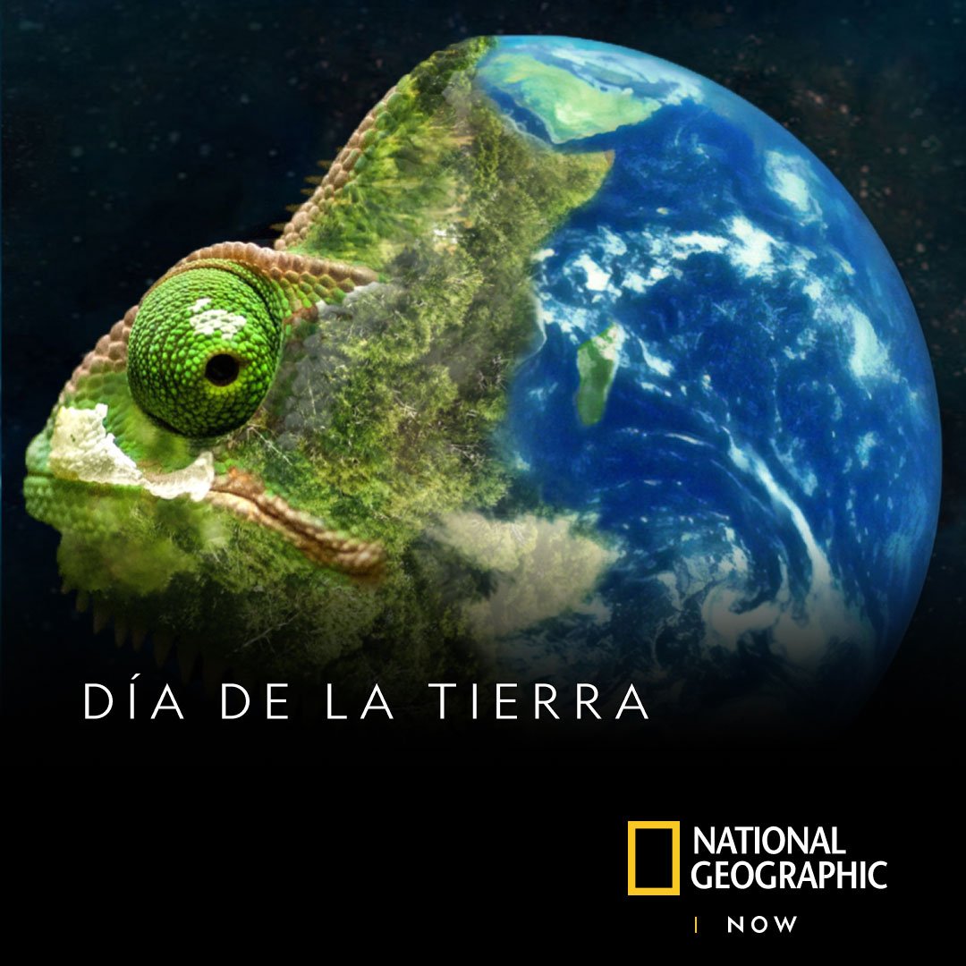 NatGeoEspana's tweet photo. Hoy es el Día Mundial de la Tierra, en el que queremos recordar la importancia de cuidar nuestro planeta y trabajar juntos para proteger sus recursos naturales.

Conoce más con los mejores documentales en NAT GEO NOW. Consulta la disponibilidad del servicio con tu operador. https://t.co/2WkQWJ12KB