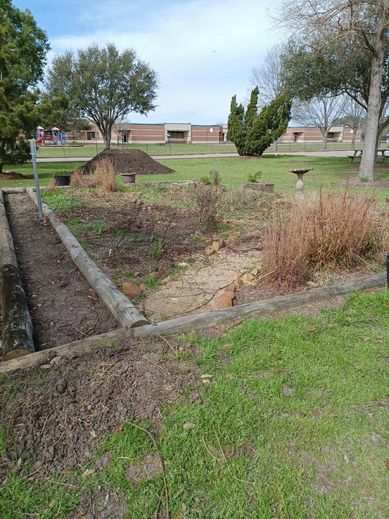 TheBondyInt's tweet photo. What better day than Earth Day to highlight the incredible transformation made in our pocket prairie garden! We doubled the size of the garden, replaced all of the plants that were lost in the freeze, &amp; applied for it to be a world certified butterfly way-station!#BondyProud https://t.co/X03sZJiQow