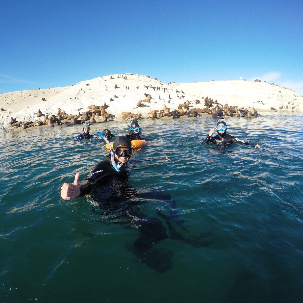 Cdesmarchelier's tweet photo. GM! It´s 🌎 Day.
Con el #SeaTeam en #Madryn, postal marzo 2023. #Biodiversity #Bioprospecting #EarthDay #Madryn #Patagonia #Argentina 🇦🇷 https://t.co/Y0wzV61zyX
