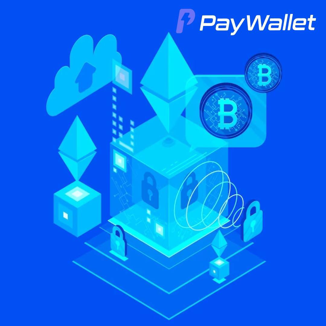 Pay Wallet (@PayyWallet) / Posts / X