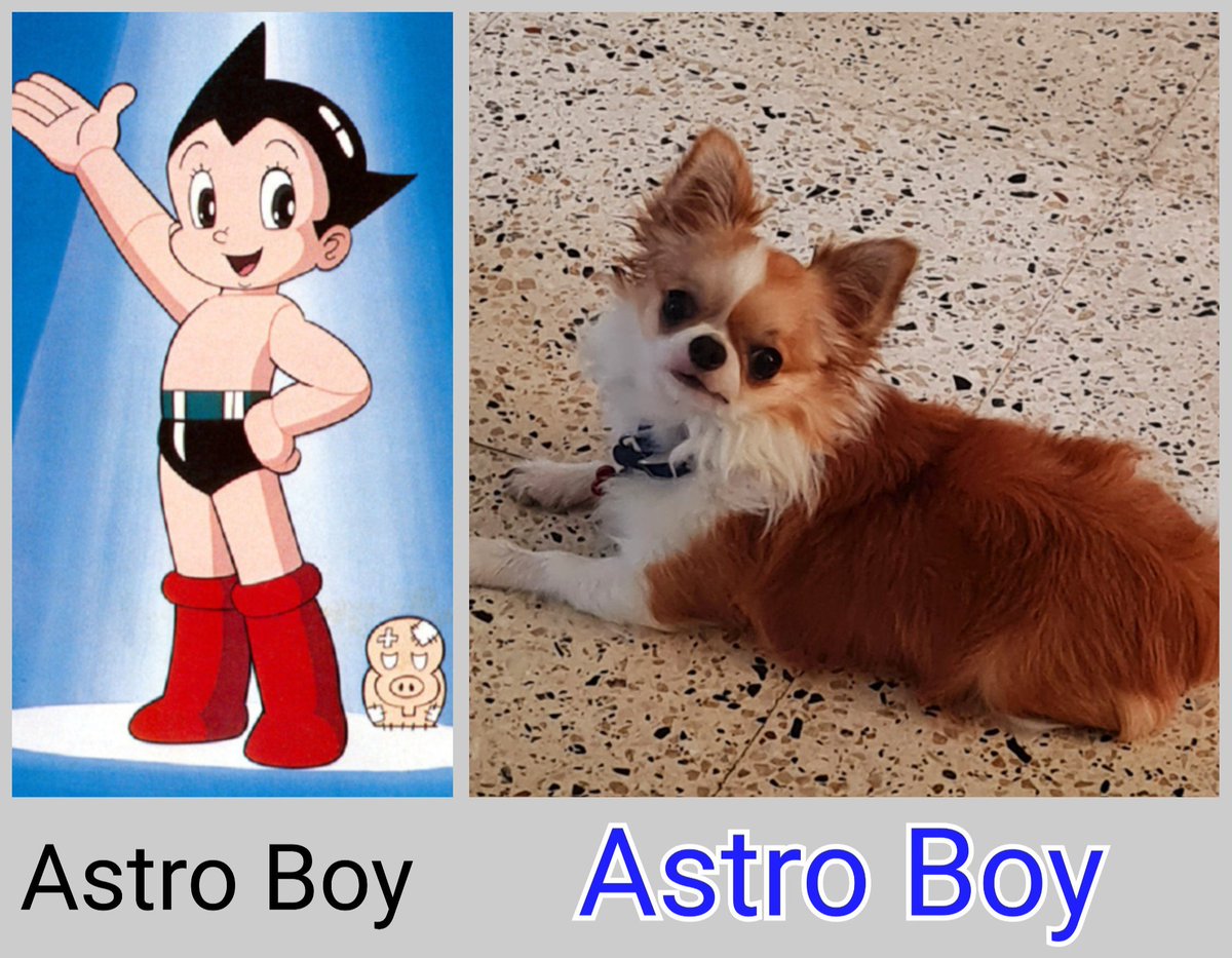 mevfer's tweet photo. Astro Boy / Astro Boy https://t.co/YRV59GsRBS