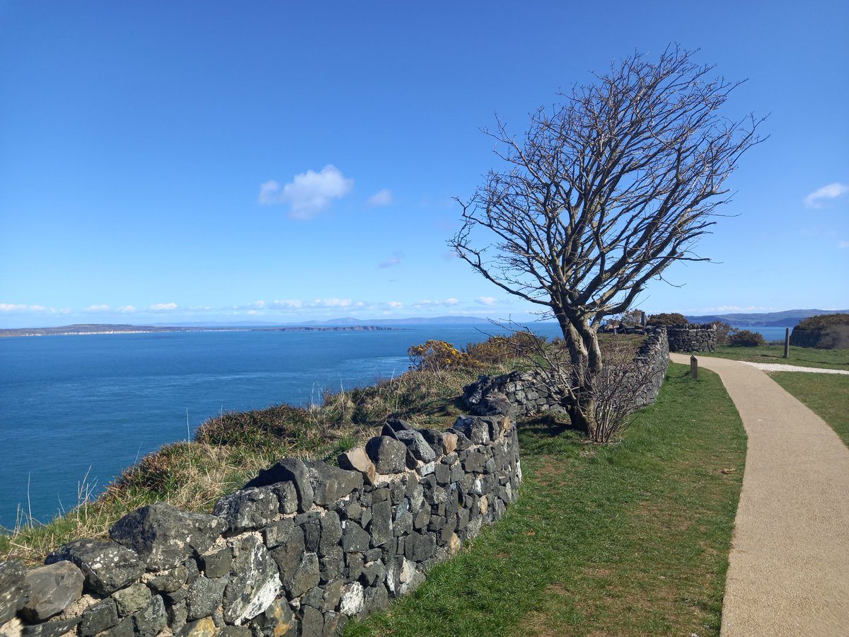 David Brown tweet media