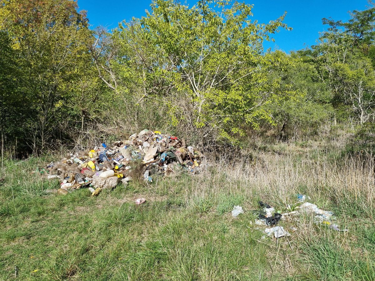 GaboMindlin's tweet photo. Parque Pereyra iraola, reserva de biodiversidad, convirtiendose en basural. Me ayudan a que de sepa a ver si se puede evitar? https://t.co/wh2VdexXd3